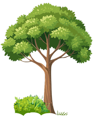 Foreground 3 401cf352 c3dd 42a3 8050 3f12525713b9 image